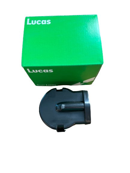 LUDDB956