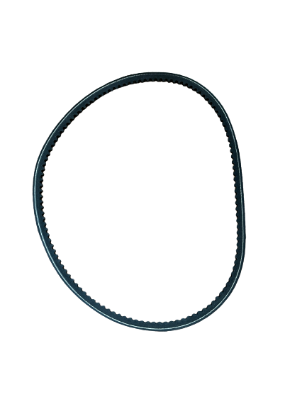 GCB10950